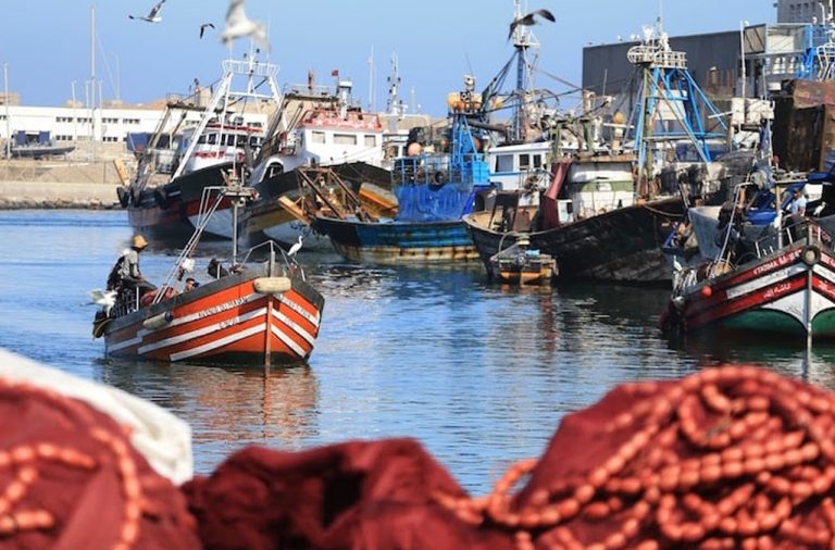 ميناء العرائش يسجل انخفاضا بنسبة 3% في مفرغات الصيد البحري