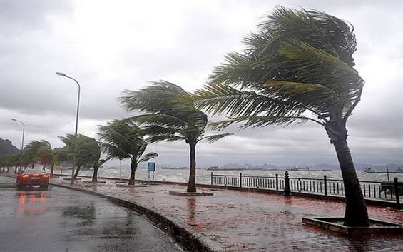 ضمنها الدريوش والناظور.. أمطار قوية تصل إلى 95 ملم ورياح عاتية بعدد من أقاليم المملكة