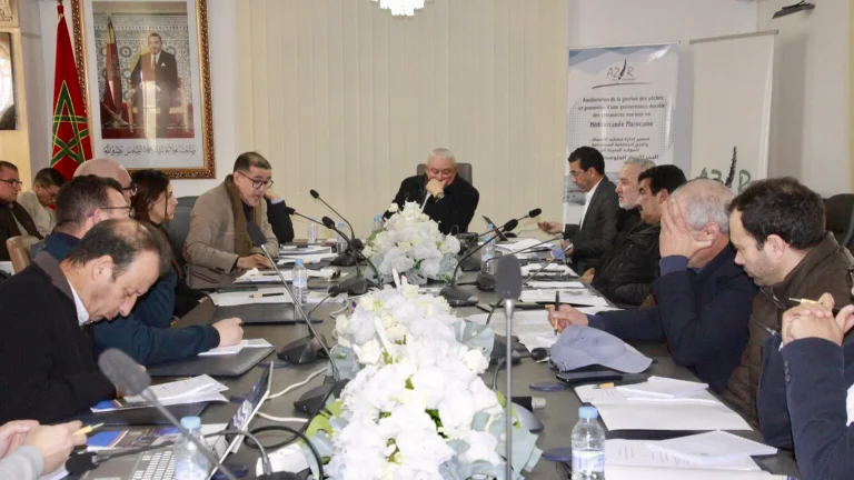 ورشة بغرفة الصيد البحري المتوسطية تبحث تحديات واستدامة القطاع