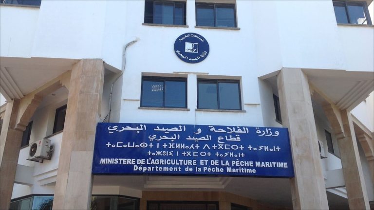 زلزال في قطاع الصيد البحري بعد إلغاء دعم تعاونيات