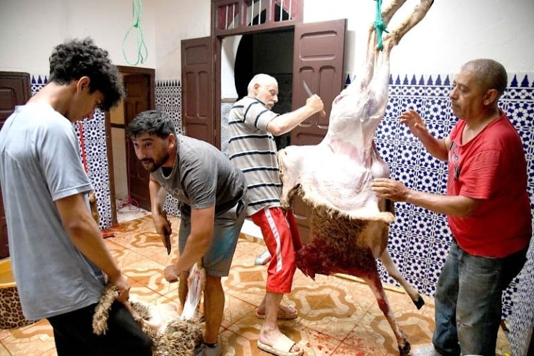 هل تمحو أجواء العيد التوتر النفسي المرتبط بثمن الأضحية؟