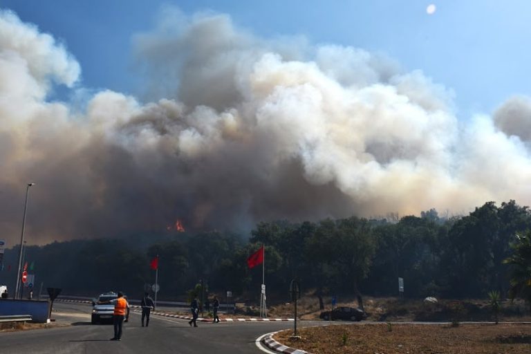 استنفار ميداني لمكافحة حرائق الغابات بجهة طنجة هذا الصيف
