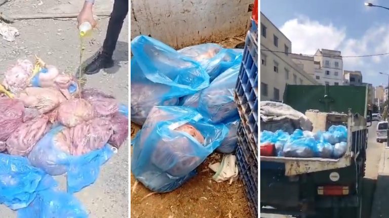ضبط 40 كيلوغراما من الدجاج الفاسد خلال حملة تفتيش بسوق الوردة طنجة