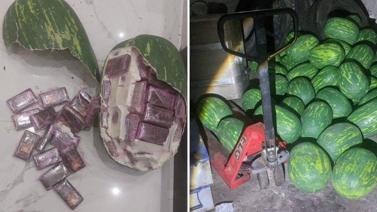 الشيرا في هيئة “دلاح”.. الأمن يحبط عملية تهريب دولية ضخمة بطنجة