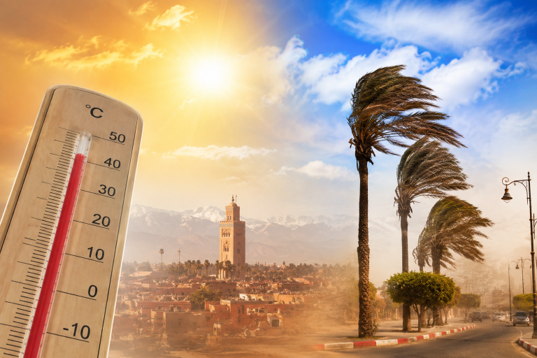 الأرصاد تحذر من رياح قوية وطقس حار بعدد من مناطق المملكة يوم غد الاثنين