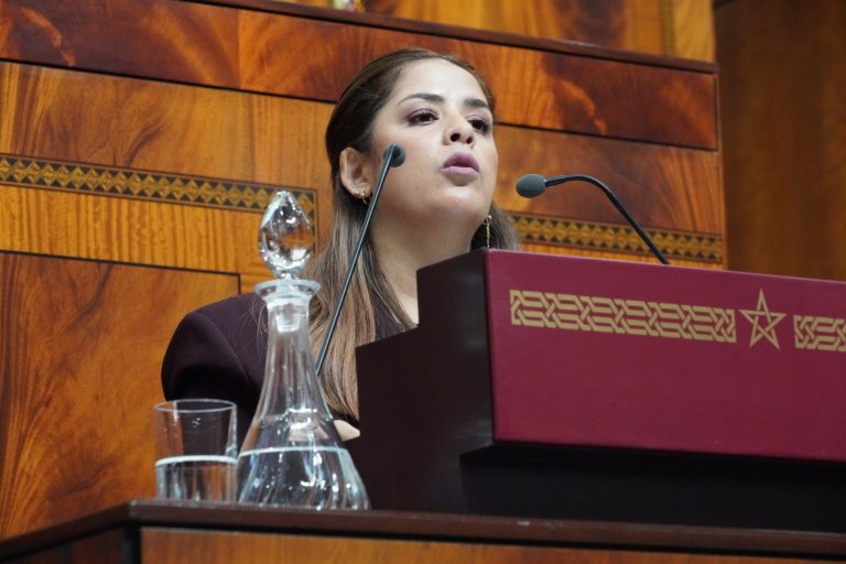 ريم شباط تنتقد تصريحات المنصوري بشأن إعفاء ماديحة خيير وتثير ملفات طنجة